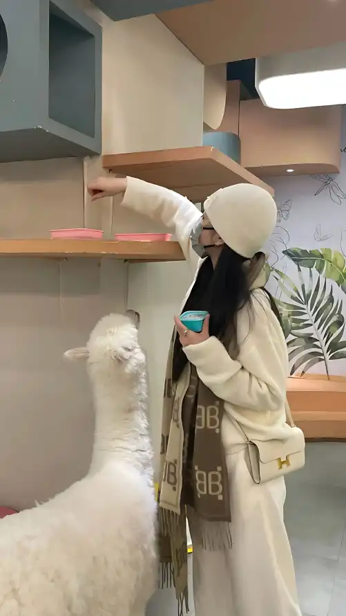 免费A片在线观看网址_yy111111少妇影院里无码_威尼斯人